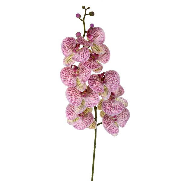 sconto Set 2 Phalenopsis Artificiali con 9 Fiori Altezza 110 cm Viola