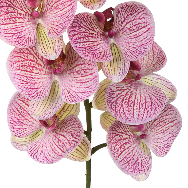 Phalenopsis Artificiali con 9 Fiori Altezza 110 cm Viola-3