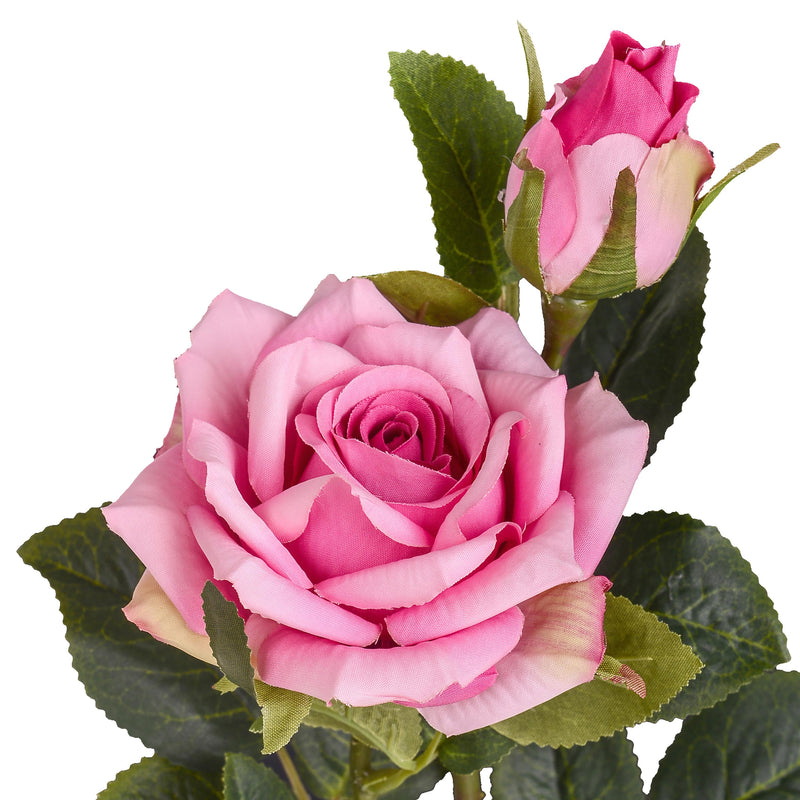 Set 24 Rose X 2 Artificiali con Gambo Corto Altezza 40 cm Rosa