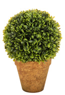 Sfera Bossolo/Buxus Artificiale con Vaso Altezza 23 cm Verde-1