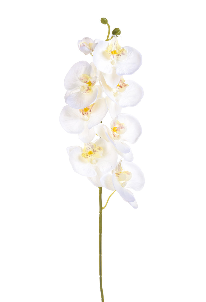 6 Phalaenopsis Artificiali con 8 Fiori Altezza 65 cm Bianco-1