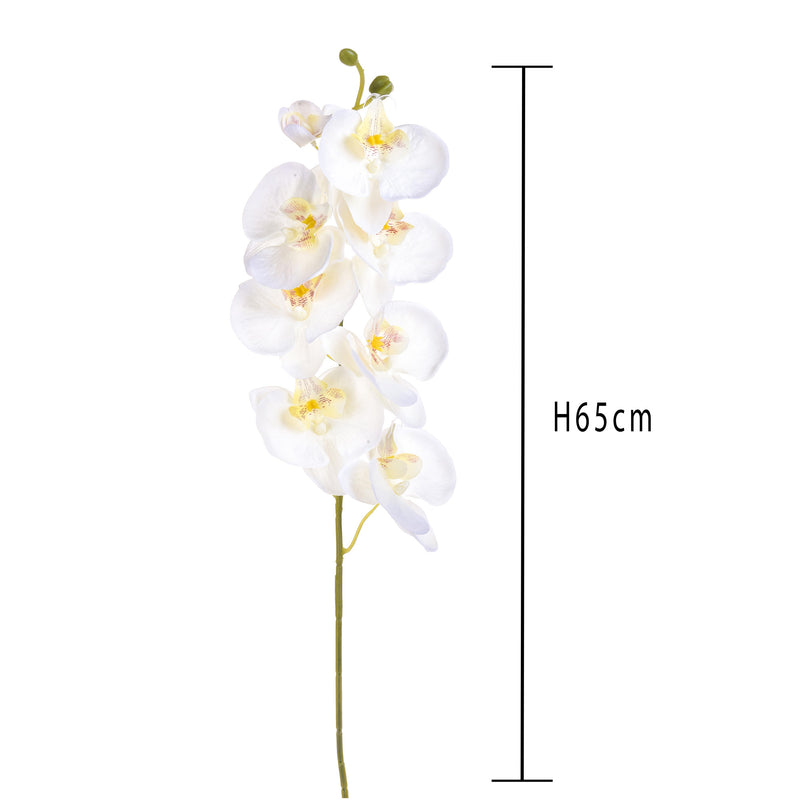 6 Phalaenopsis Artificiali con 8 Fiori Altezza 65 cm Bianco-2