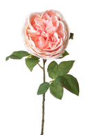 2 Rose Artificiali Cabbage Altezza 49 cm Rosa-1