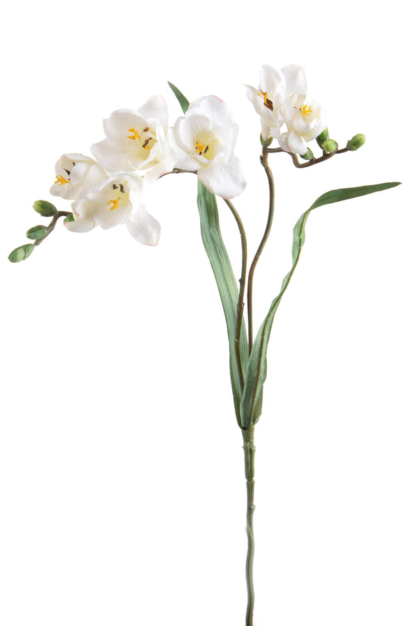 Set 6 Fiori Artificiali di Fresia con Due Fiori Altezza 63 cm Bianco prezzo