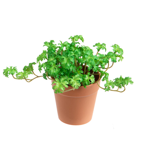 Set 3 Piante di Pelargonium Artificiale in Vaso Composta da 3 Diramazioni Altezza 16 cm Verde online