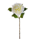 2 Peonia Artificiale Altezza 57 cm Bianco-1