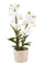 Orchidea Artificiali con Vaso Altezza 51 cm Bianco