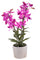 Orchidea Artificiali con Vaso Altezza 51 cm Rosa