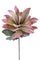 Set 2 Fiori Artificiali Ginger Foam con Foglie Altezza 70 cm Verde