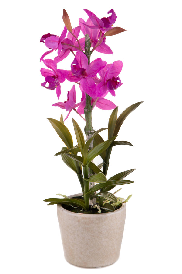 Orchidea Artificiali con Vaso Altezza 43 cm Rosa sconto