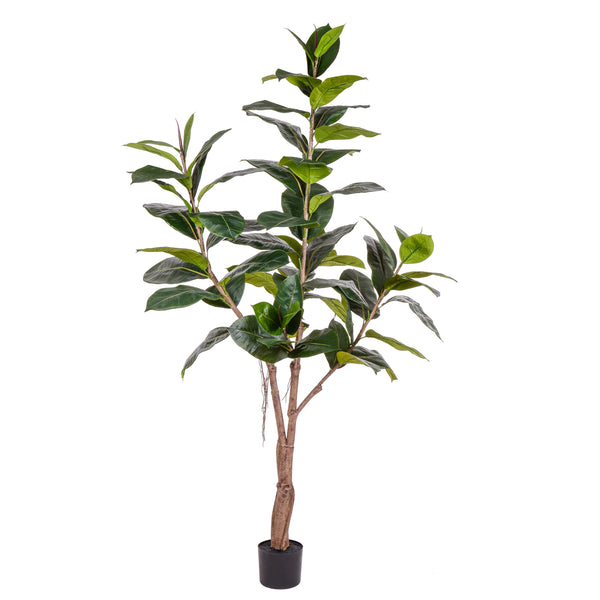 online Ficus Rubber Artificiale con 65 Foglie Altezza 180 cm