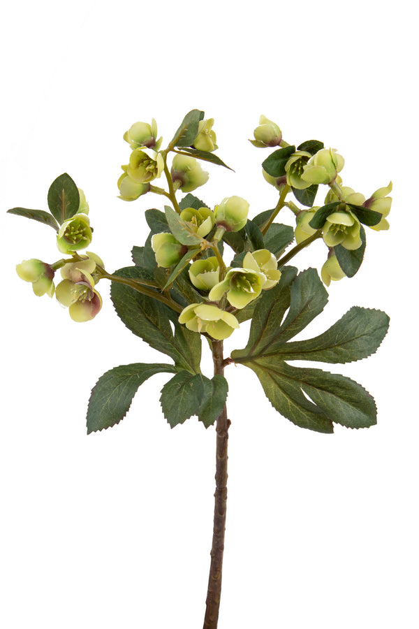 Set 4 Rami Artificiali di Helleborus Altezza 42 cm Verde acquista