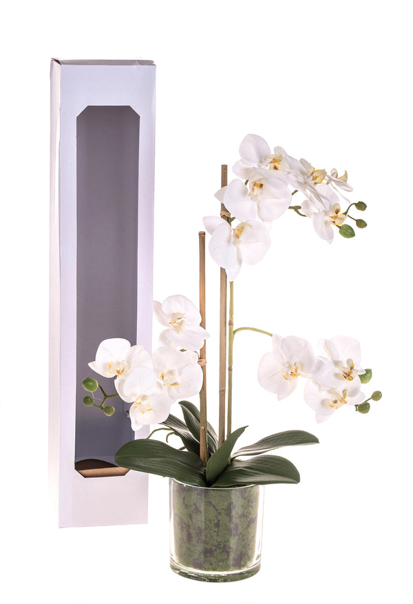 Pianta Artificiale di Phalaenopsis Artificiali con Vaso Altezza 56 cm Bianco acquista