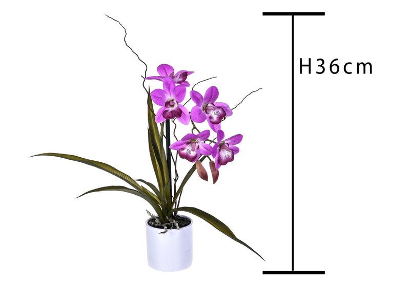 Dendrobium Artificiale con Vaso Altezza 36 cm Viola – acquista su Giordano  Shop