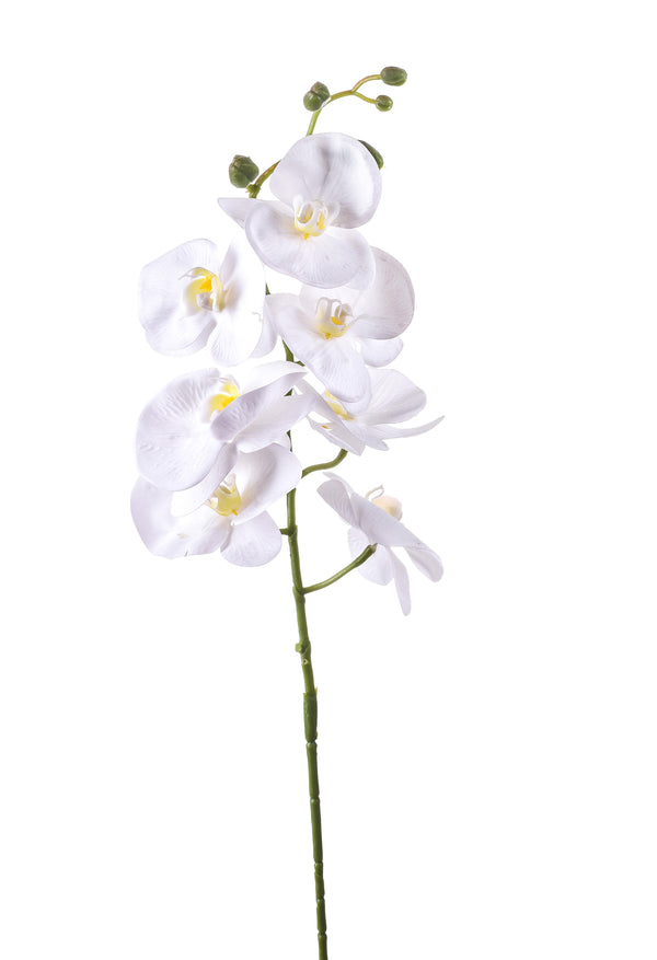 prezzo Set 6 Phalaenopsis Artificiali con 7 Fiori Altezza 96 cm Bianco