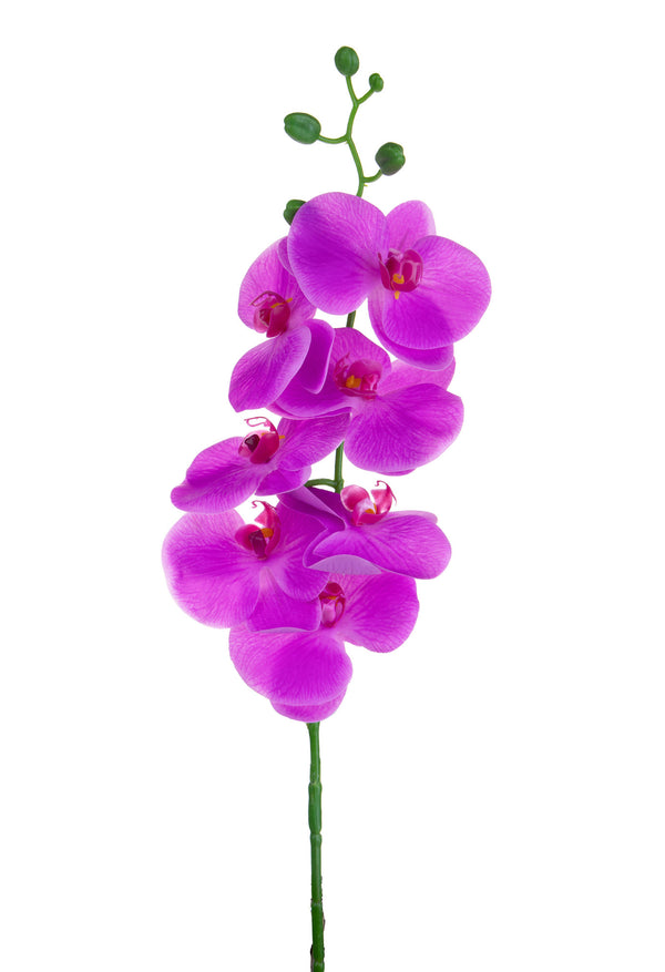 Set 6 Phalaenopsis Artificiali con 7 Fiori Altezza 96 cm Viola acquista