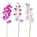 6 Phalaenopsis Artificiali con 8 Fiori Altezza 65 cm Multicolore-1