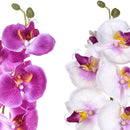 6 Phalaenopsis Artificiali con 8 Fiori Altezza 65 cm Multicolore-3