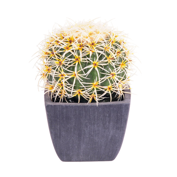 acquista Pianta di Cactus Artificiale con Vaso