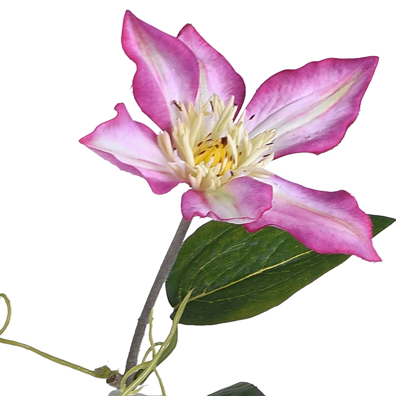 2 Rami Artificiali di Clematis Composto da 2 Fiori Altezza 76 cm Rosa-3