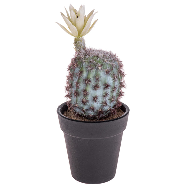 online Set 6 Cactus Artificiale con Vaso Altezza 18 cm