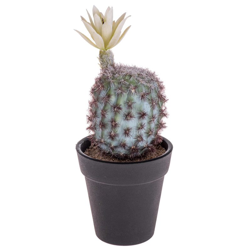 2 Cactus Artificiale con Vaso Altezza 18 cm -1