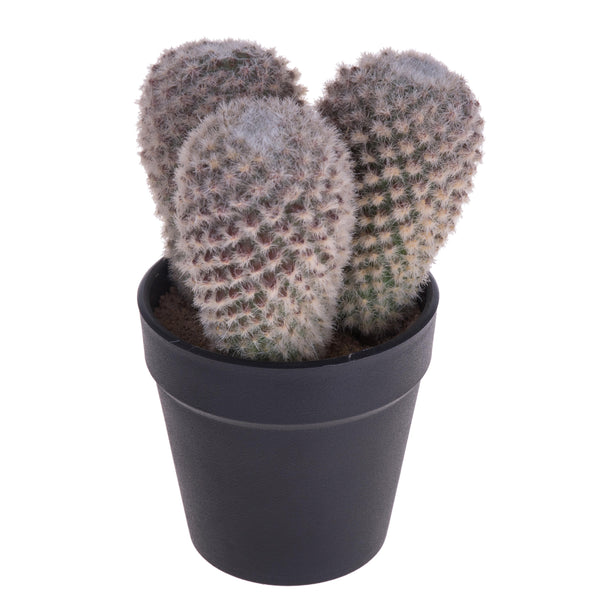 Set 3 Cactus Artificiale X 3 con Vaso Altezza 16 cm acquista