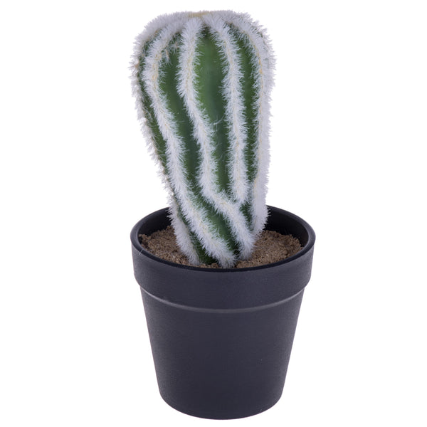 sconto Set 4 Cactus Artificiale con Vaso Altezza 20 cm