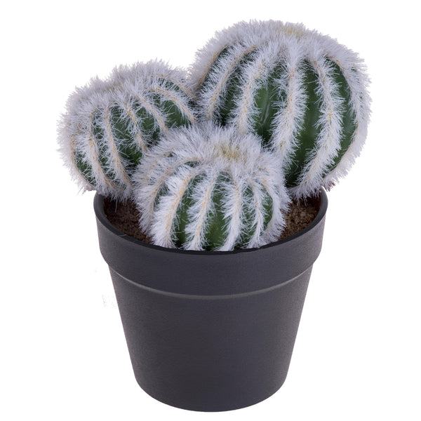 acquista Set 4 Cactus Artificiale X 3 con Vaso Altezza 12 cm