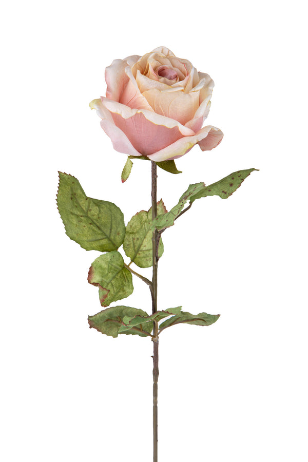 sconto Set 4 Rose Artificiali con Dry Altezza 62 cm