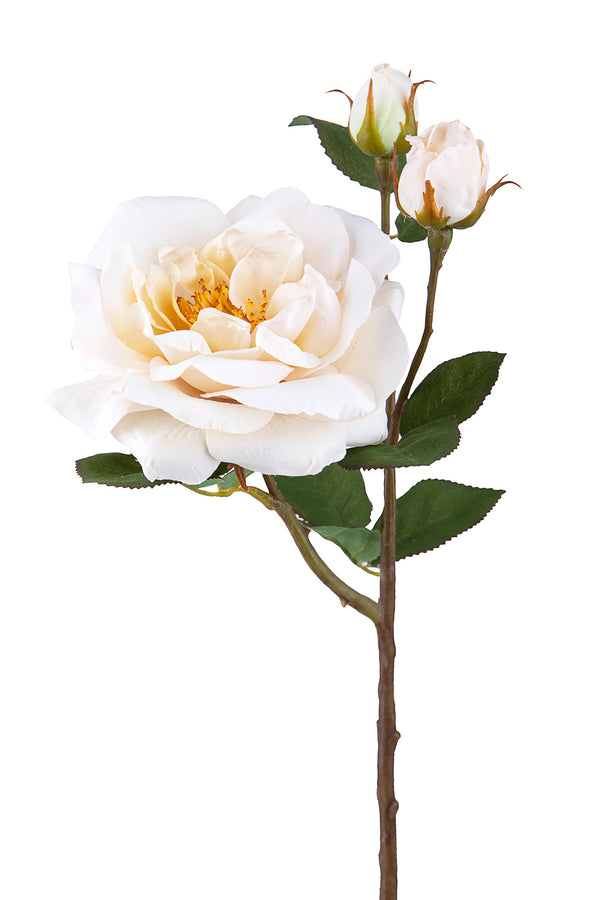 sconto Set 4 Rose Artificiali Inglese Altezza 48 cm