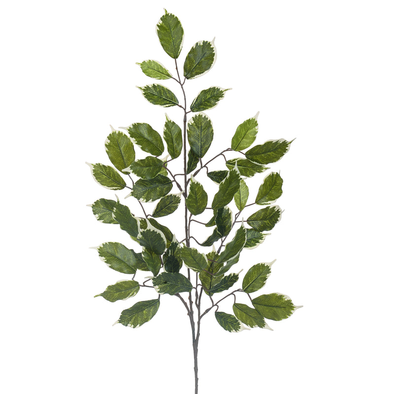 8 Rami di Ficus Artificiale con 42 Foglie Altezza 60 cm Verde-1