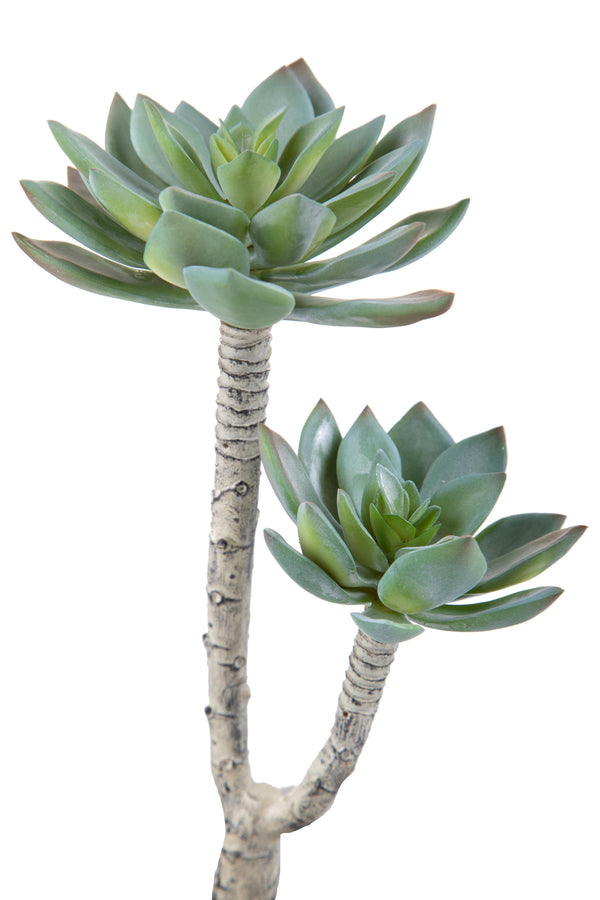 acquista Set 3 Succulent Artificiale a 2 Diramazioni Altezza 22 cm Grigio