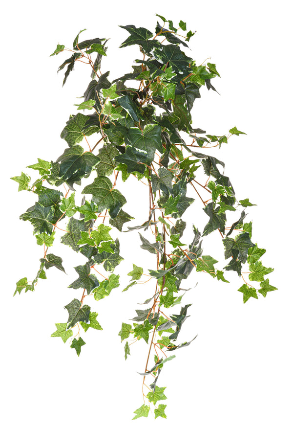 acquista Edera Artificiale Variegata Composta da 178 Foglie Altezza 78 cm Verde