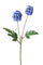 Set 6 Rami Artificiali di Scabiosa Stellata con Fiori Artificiali Altezza 58 cm Blu