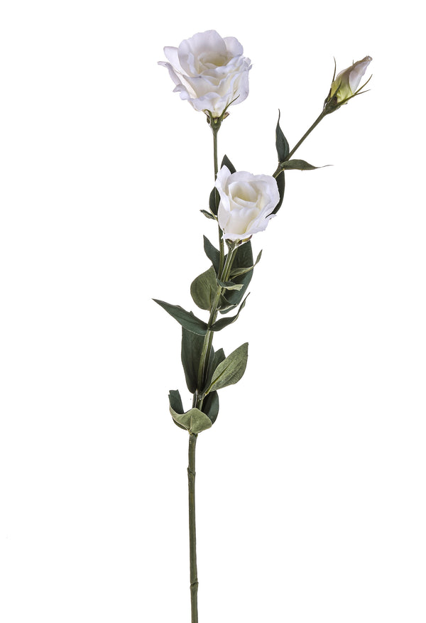 sconto Set 6 Lisianthus Artificiali con Fiori Altezza 75 cm Bianco