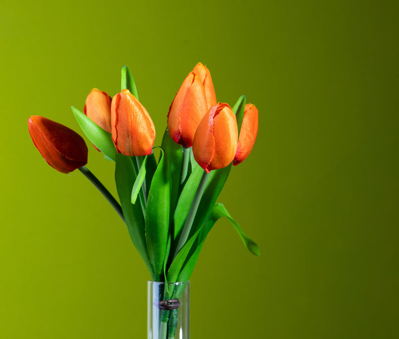 Set 3 Mazzi di 7 Tulipani Artificiali Altezza 37 cm Arancio – acquista su  Giordano Shop