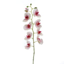 Phalaenopsis Artificiale Altezza 95 cm Bianco-1