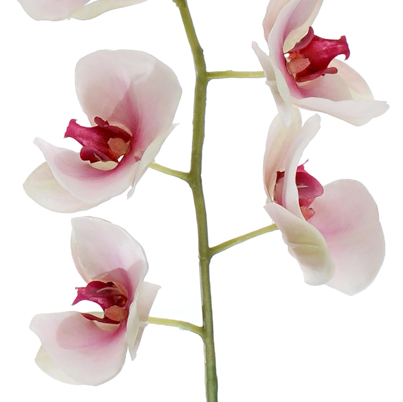 Phalaenopsis Artificiale Altezza 95 cm Bianco-3