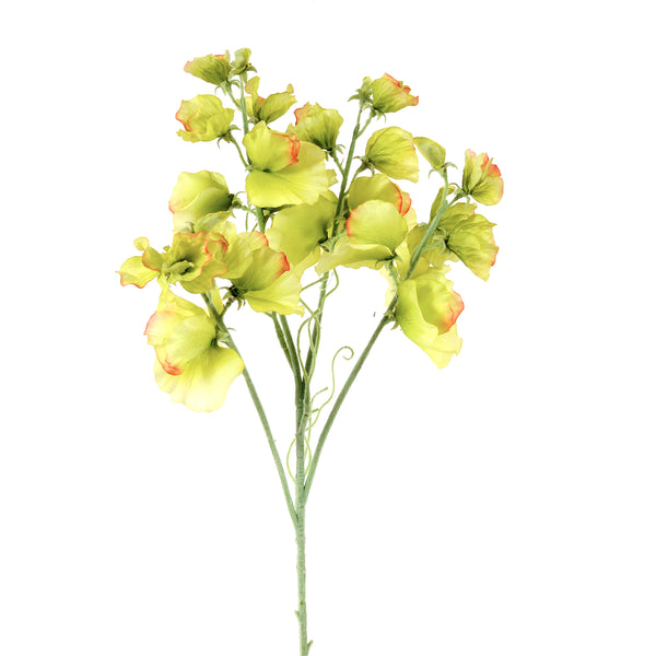 sconto Set 4 Fiori Artificiali di Pisello Altezza 67 cm Verde