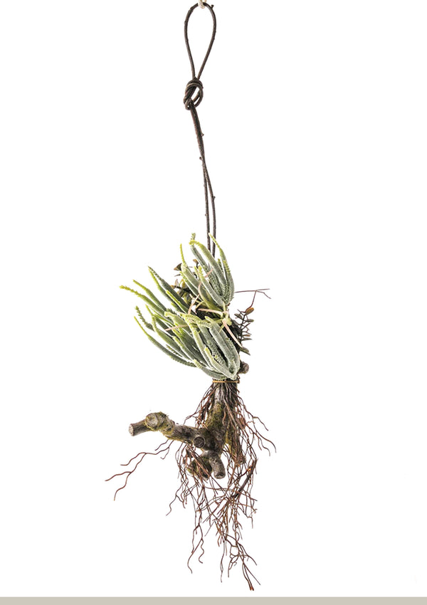 Tillandsia Artificiale con 16 foglie Altezza 50 cm Verde online