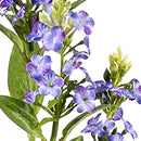 4 Rami Artificiali di Bidens Composto da 5 Fiori Altezza 62 cm Blu-3