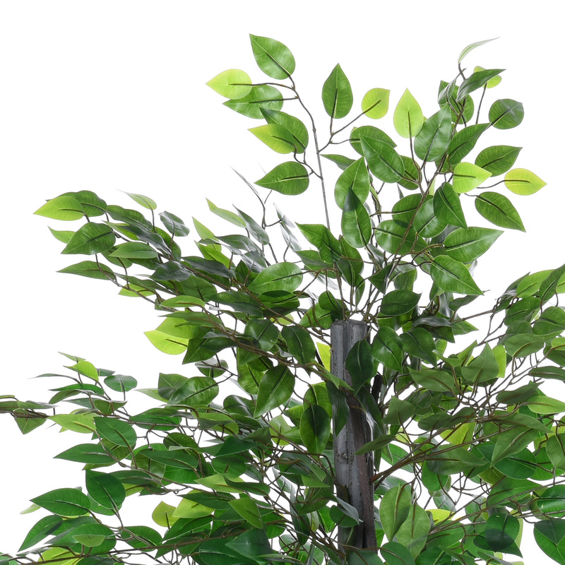 Pianta Artificiale Albero Baniano H145 cm con Vaso Verde – acquista su  Giordano Shop