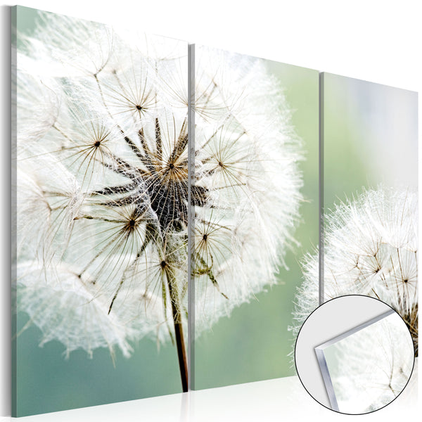 sconto Quadro Su Vetro Acrilico - Fluffy Dandelions 120x80cm Erroi