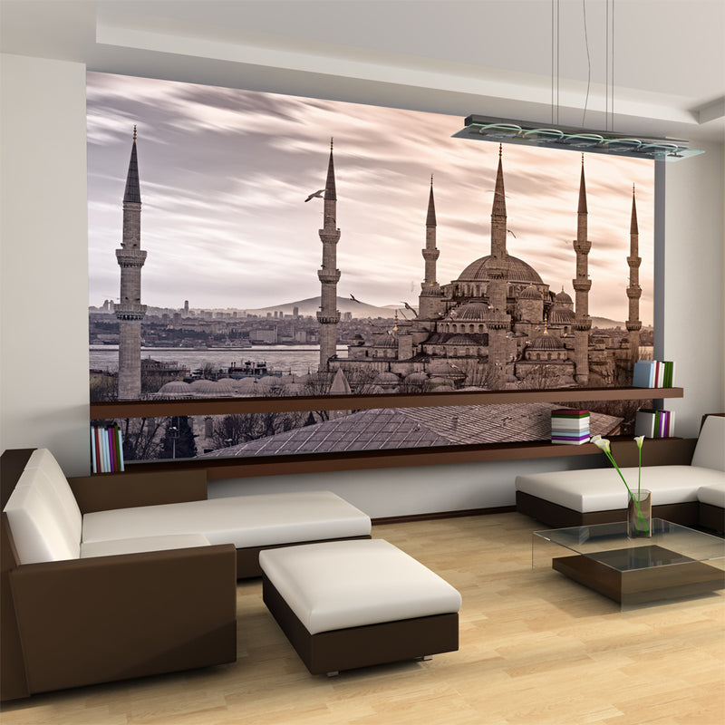 Carta da Parati Fotomurale - Moschea Blu, Istanbul 450x270 cm Erroi-1