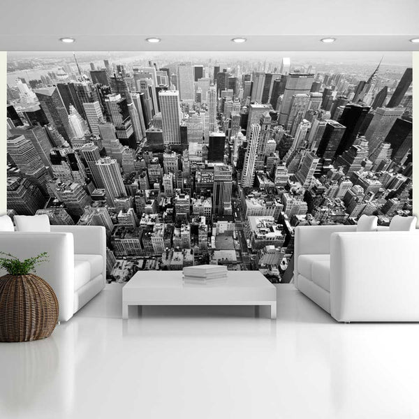 prezzo Carta Da Parati Fotomurale - Stati Uniti, New York - Bianco E Nero 450x270cm Erroi