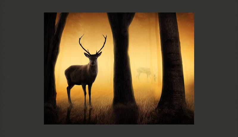 Fotomurale - Deer in His Natural Habitat 350X270 cm Carta da Parato Erroi-2
