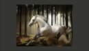 Fotomurale - Inseguimento Bianco 350X270 cm Carta da Parato Erroi-2