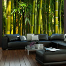 Fotomurale - Asiatica Foresta di Bambù 200X154 cm Carta da Parato Erroi-1