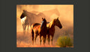 Fotomurale - Cavalli Selvaggi Nel Deserto 200X154 cm Carta da Parato Erroi-2